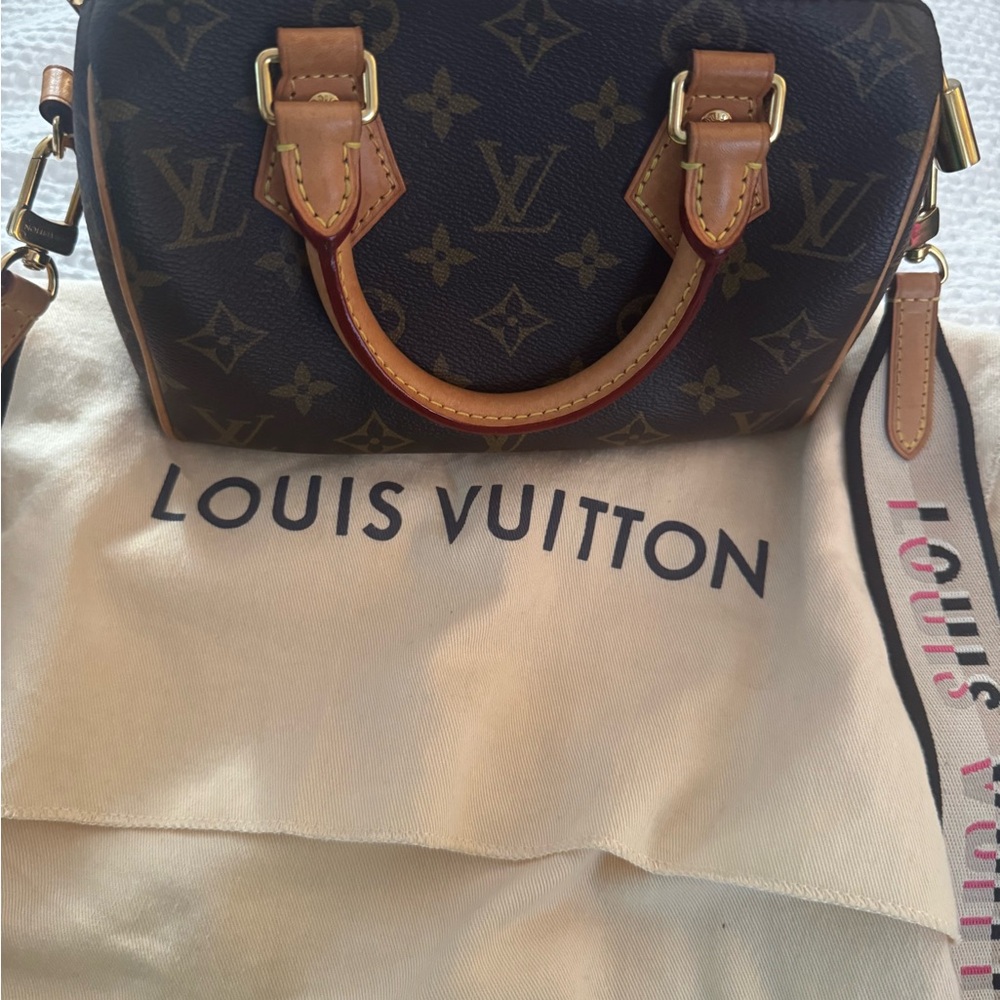 Louis Vuitton Mini Bag in Monogram Canvas